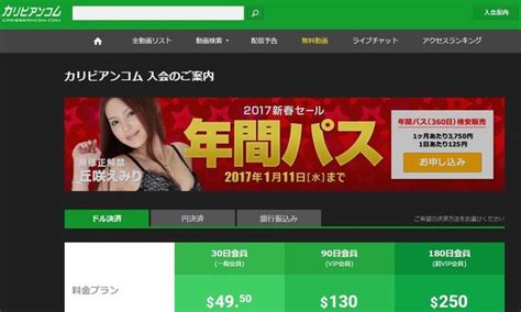 無 修正 av サイト